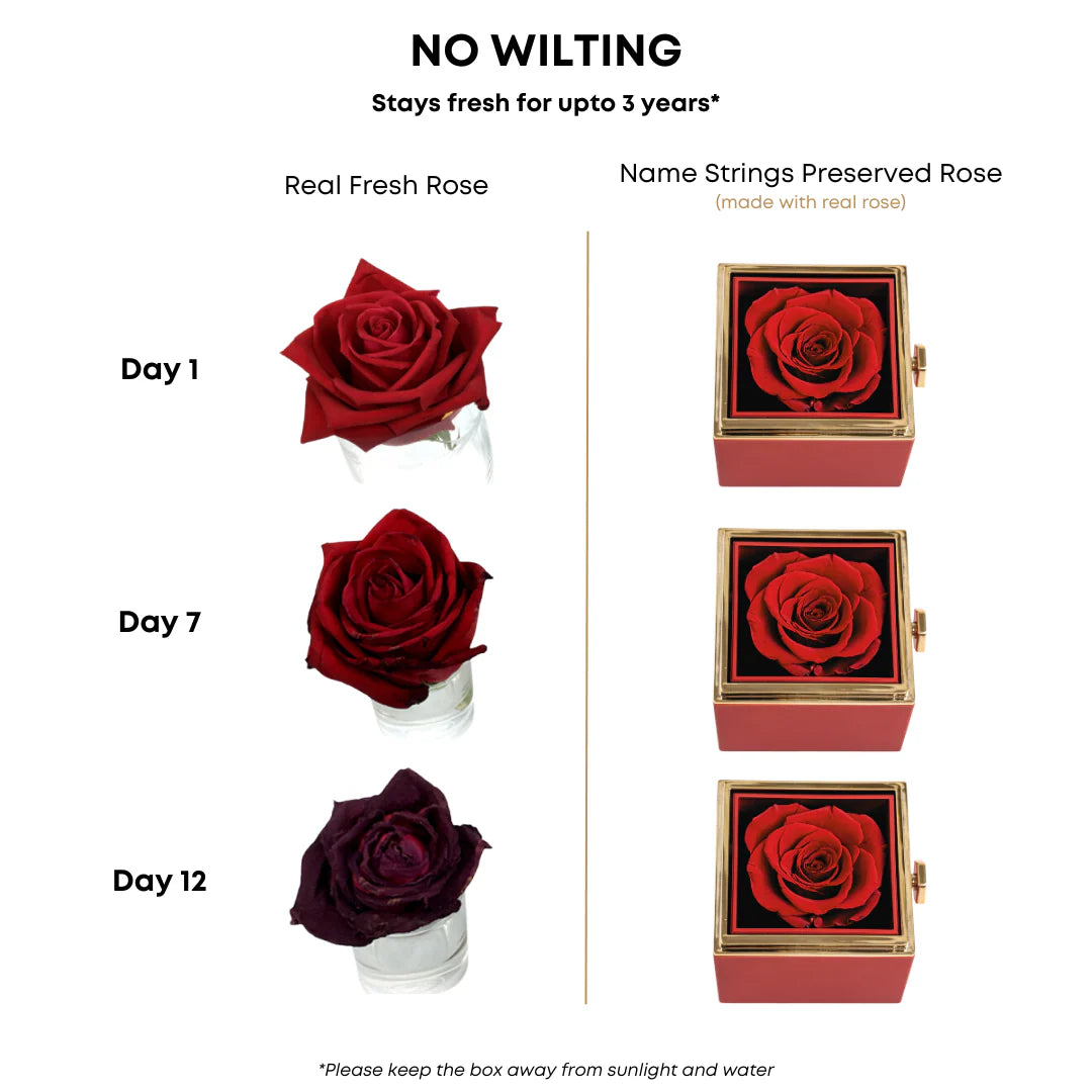 virezaa’s "The Vow" Set